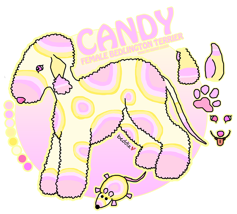 candy_new_ref